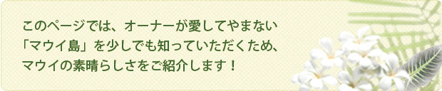 このページでは、オーナーが愛してやまない「マウイ島」を少しでも知っていただくため、マウイの素晴らしさをご紹介します!