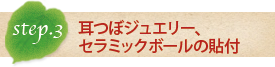 step.3ڃWG[AZ~bN{[̓\t
